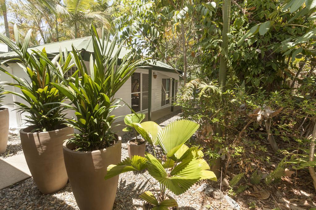 Drift Beach House Getaway Holloways Beach Phòng bức ảnh